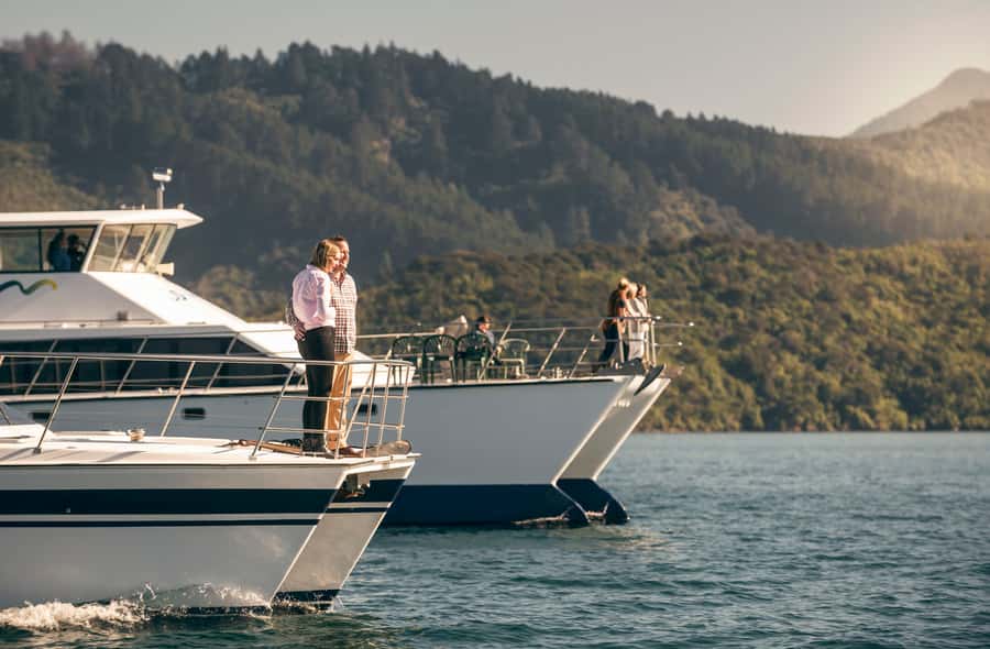 From Picton: Marlborough Sounds Cruise with Seafood - Finding Your Best Seat on the Odyssey