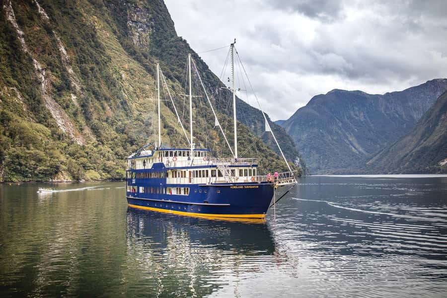 From Queenstown: Doubtful Sound Wilderness Day Trip - Wilmot Pass and Fiordland rainforest