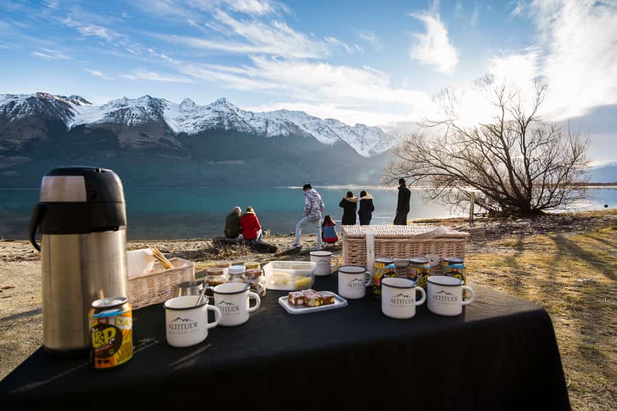 From Queenstown: Glenorchy and Paradise Scenic Half-Day Tour - Is $107 good value for a half-day?