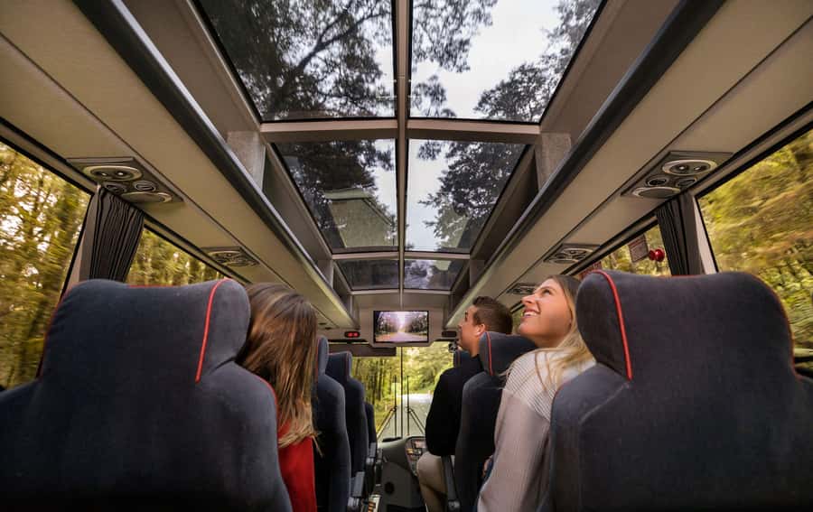 From Queenstown: Milford Sound Coach, Cruise, Scenic Flight - The Milford Road coach ride