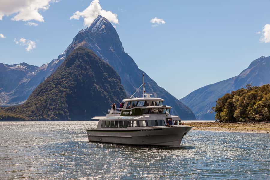 From Queenstown: Milford Sound Cruise and Scenic Drive - Who should book this Milford Sound tour?