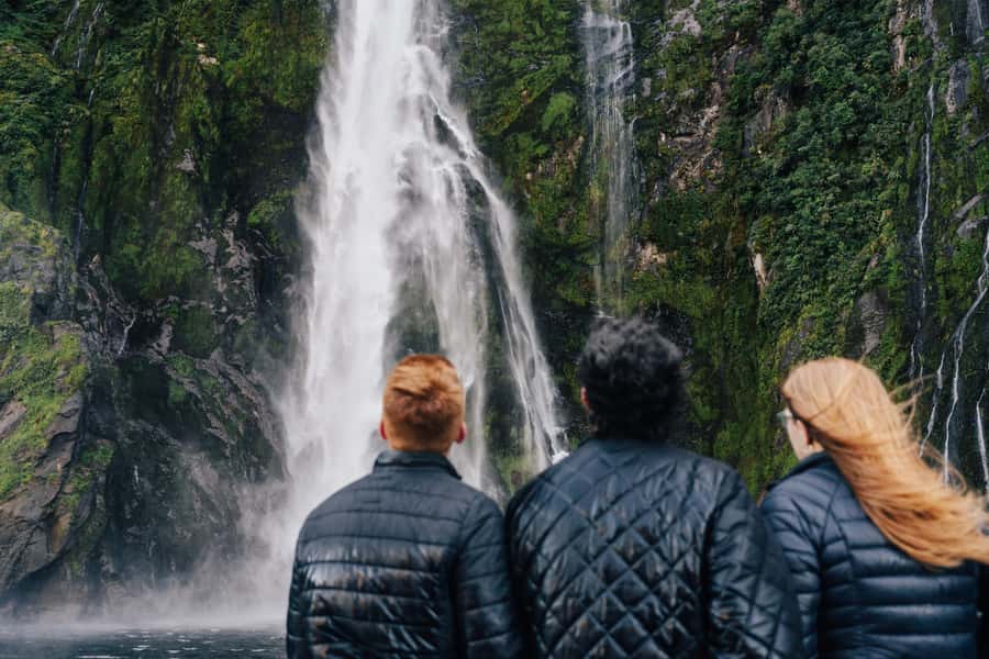 From Queenstown: Milford Sound Cruise and Scenic Drive - Why this Queenstown to Milford Sound trip works