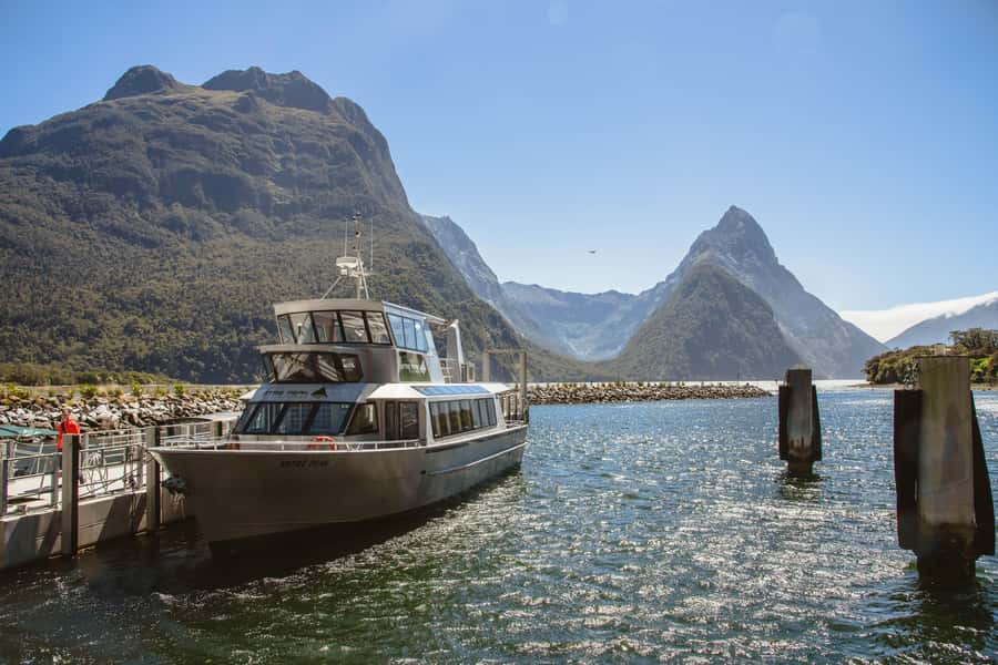 From Queenstown: Milford Sound Cruise and Scenic Drive - Food, comfort, and what you should pack