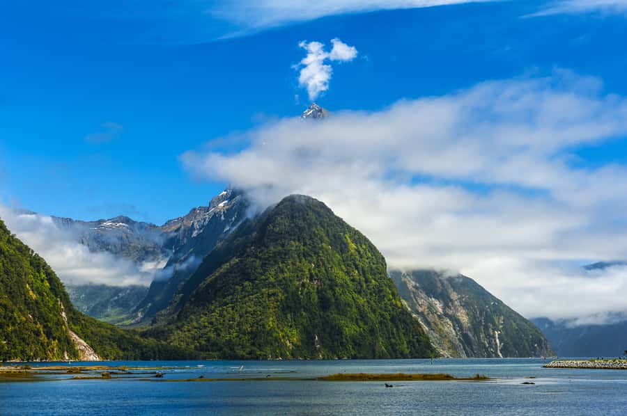 From Queenstown Milford Sound Cruise & Glass-Roof Coach Tour - Key points to know before you book