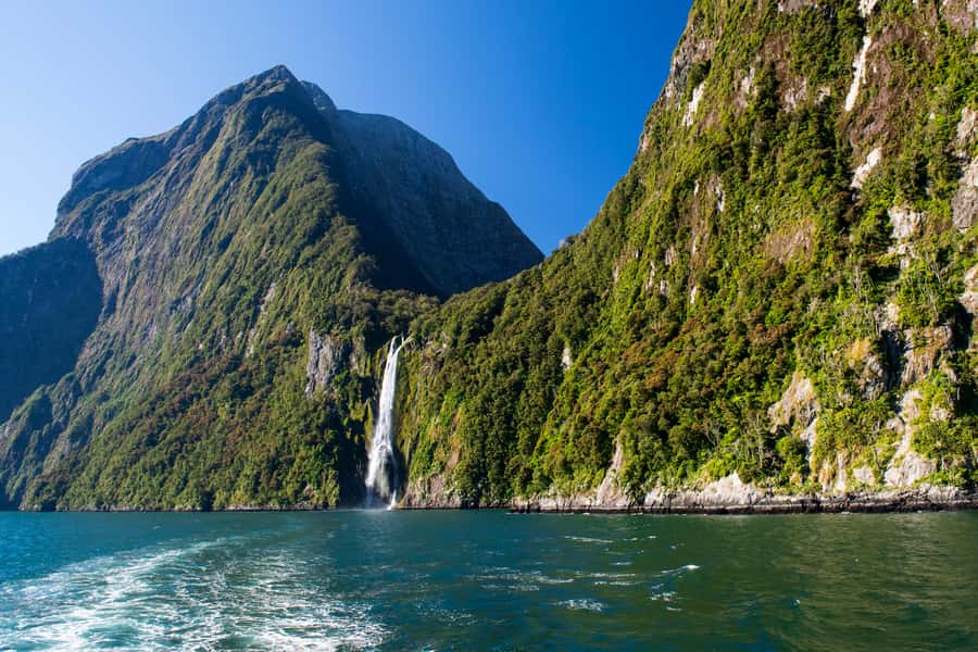 From Queenstown Milford Sound Cruise & Glass-Roof Coach Tour - Who will enjoy this day most?