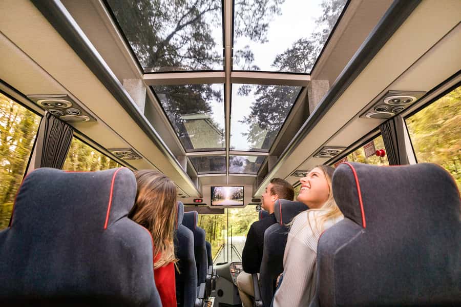 From Queenstown: Milford Sound Day Trip on Premium Coach - Why this is the easiest Queenstown to Milford Sound plan