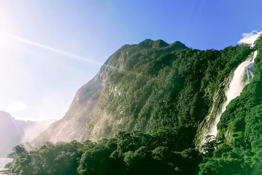 From Queenstown: Milford Sound Premium Day Tour and Cruise - Mirror Lakes and the rainforest boardwalk