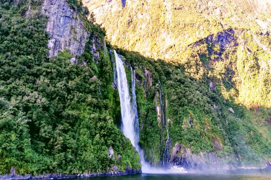 From Queenstown: Milford Sound Premium Day Tour and Cruise - How the guides shape the day