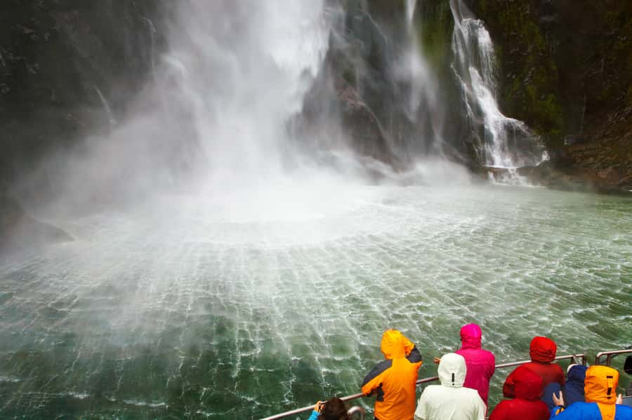 From Queenstown: Milford Sound Premium Day Tour and Cruise - Comfort, timing, and the cost of $170