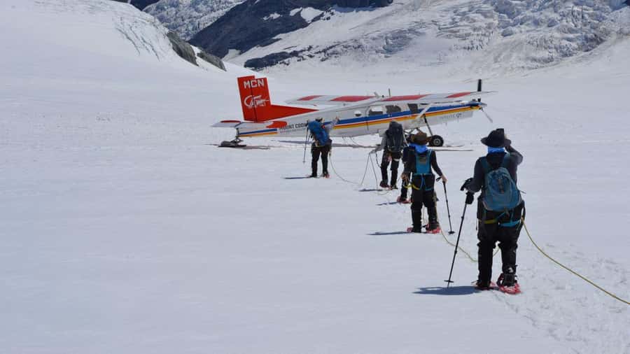 From Queenstown: Mount Cook Heli-Hike and Bus Tour Combo - The Tasman Glacier heli-hike