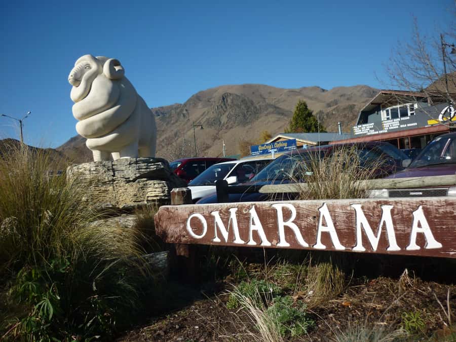 From Queenstown: Mount Cook Heli-Hike and Bus Tour Combo - Salmon, fruit, and the return to Queenstown