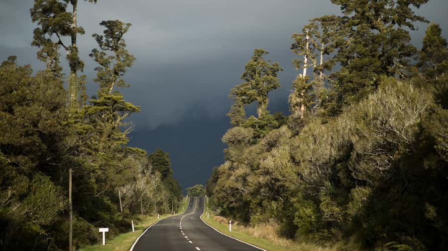 From Queenstown: Scenic One-Way Tour to Franz Josef - Should you book this Queenstown to Franz Josef tour?