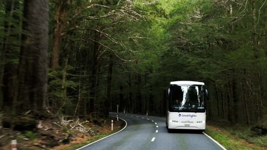 From Queenstown: Scenic One-Way Tour to Franz Josef - Makarora and the Mount Aspiring National Park setting