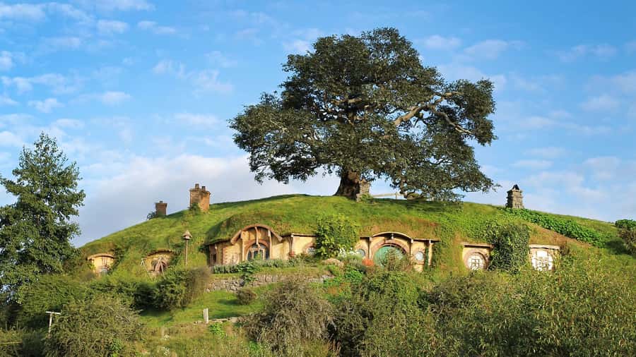 From Rotorua: Hobbiton Movie Set Tour with Festive Lunch - Why the festive buffet lunch matters