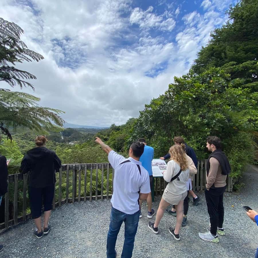 From Rotorua: Wai-O-Tapu, Waimangu and Te Puia Full-Day Tour - The day at a glance