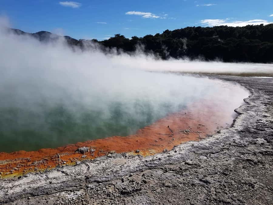 From Rotorua: Wai-O-Tapu, Waimangu and Te Puia Full-Day Tour - Lady Knox adds a fixed 10:15 spectacle