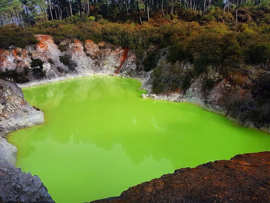 From Rotorua: Wai-O-Tapu, Waimangu and Te Puia Full-Day Tour - Waimangu explains Mount Tarawera’s force