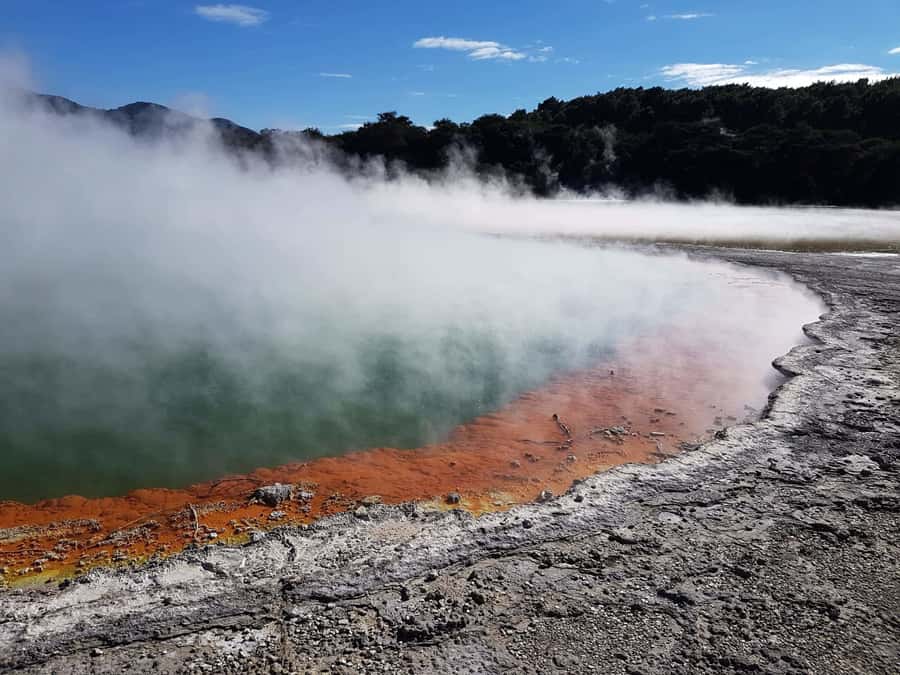 From Rotorua: Wai O Tapu & Waimangu Eco Thermal Morning Tour - Why these two geothermal parks work well together