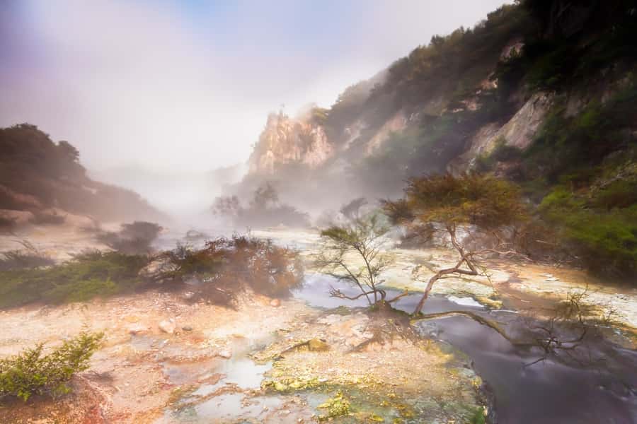 From Rotorua: Wai O Tapu & Waimangu Eco Thermal Morning Tour - What to bring and how to prepare