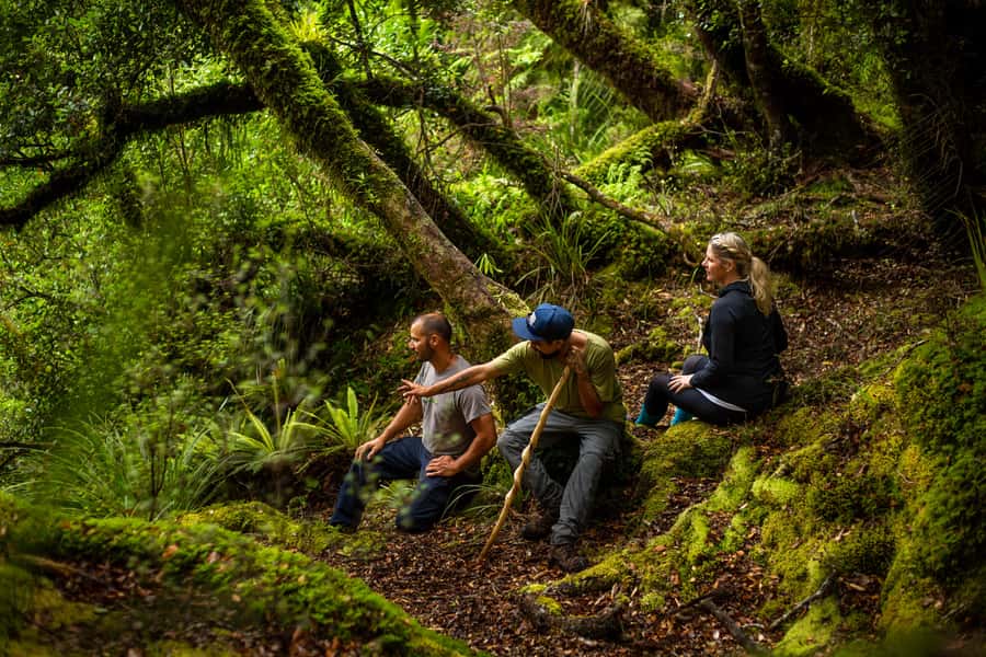 From Rotorua: Whirinaki Rainforest Guided Cultural Tour - Ngā Rākau Rangatira and the living forest classroom