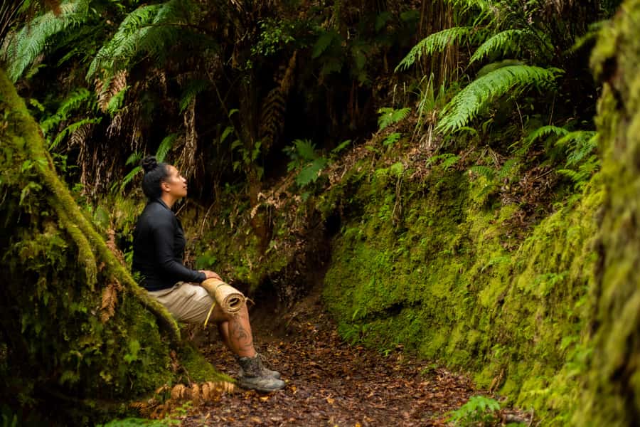 From Rotorua: Whirinaki Rainforest Guided Cultural Tour - Forest Bathing, chants, and a slower pace