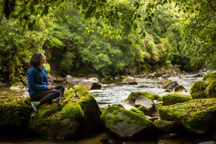 From Rotorua: Whirinaki Rainforest Guided Cultural Tour - The return to Rotorua and the value of the full day