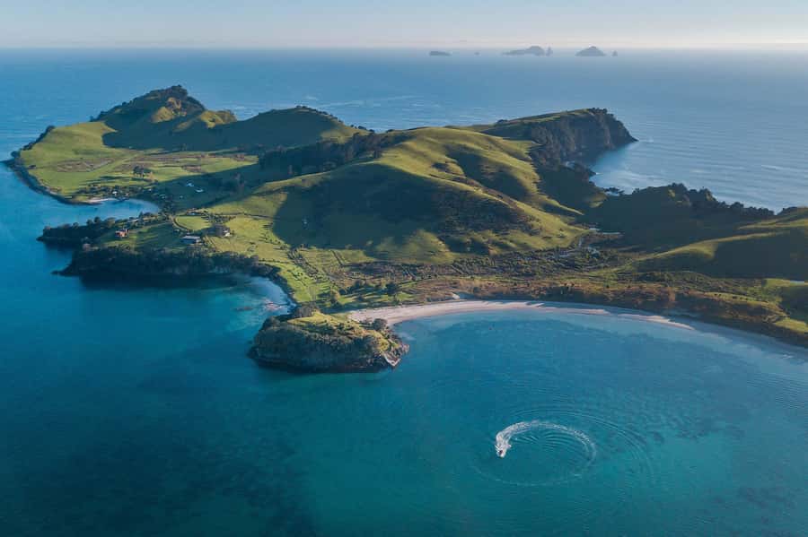 From Tairua: 2 Hour Cathedral Cove Tour with Local Guide - Orua Sea Cave: a close look at the coast