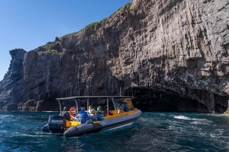 From Tairua: 2 Hour Cathedral Cove Tour with Local Guide - Is $83 good value?