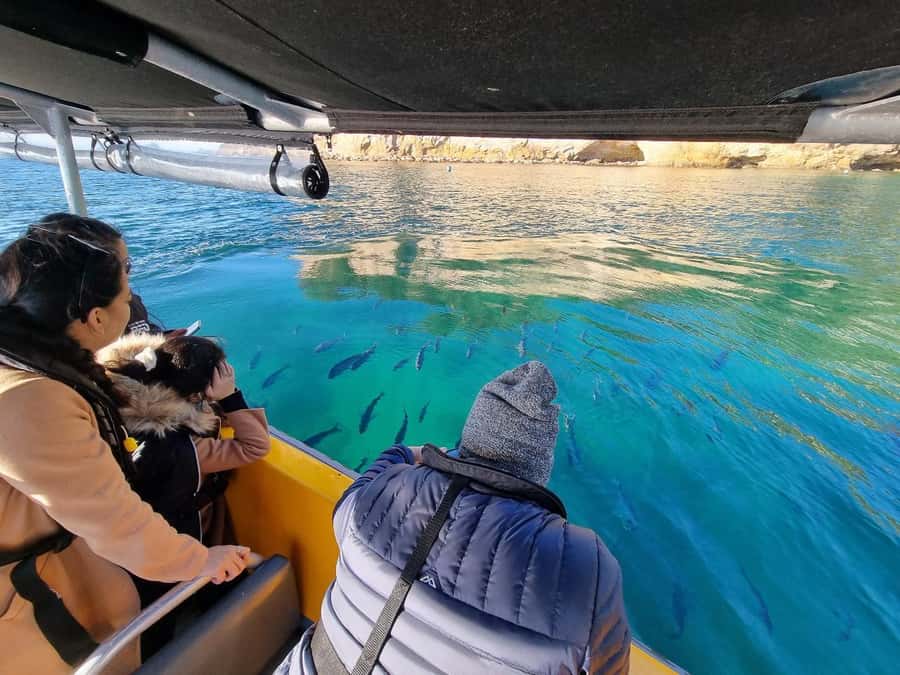 From Tairua: 2 Hour Cathedral Cove Tour with Local Guide - Leaving Tairua Marina for the Coromandel coast