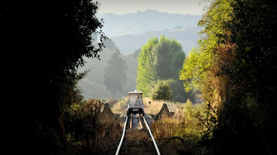 From Taumarunui: The Republic Rail Cart Adventure - Riding through farmland, bush, and old tunnels