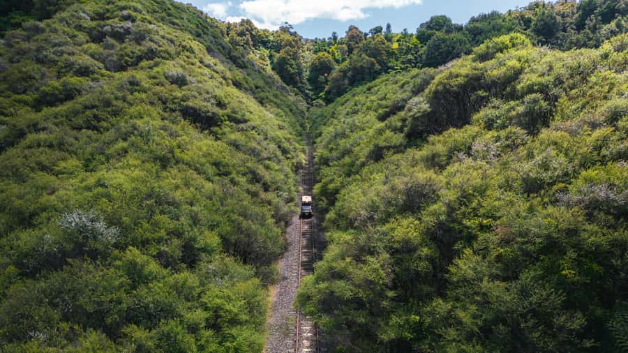 From Taumarunui: The Republic Rail Cart Adventure - From the Forgotten World Motel to Okahukura