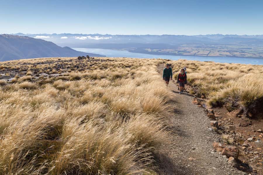 From Te Anau: Full Day Kepler Track Guided Heli-Hike - Alpine herb fields around Luxmore Hut