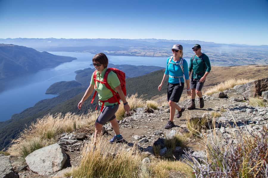 From Te Anau: Full Day Kepler Track Guided Heli-Hike - The 800-meter descent through changing forest