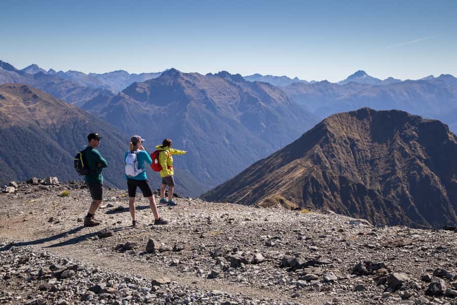 From Te Anau: Full Day Kepler Track Guided Heli-Hike - Native ferns and the approach to Lake Te Anau