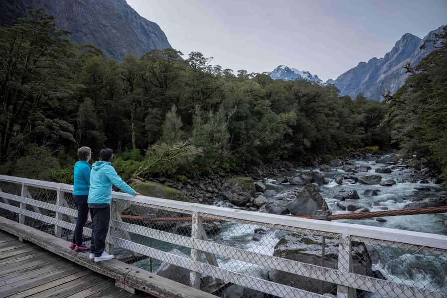 From Te Anau: Milford Sound Coach, Cruise, and Walks - Key points at a glance