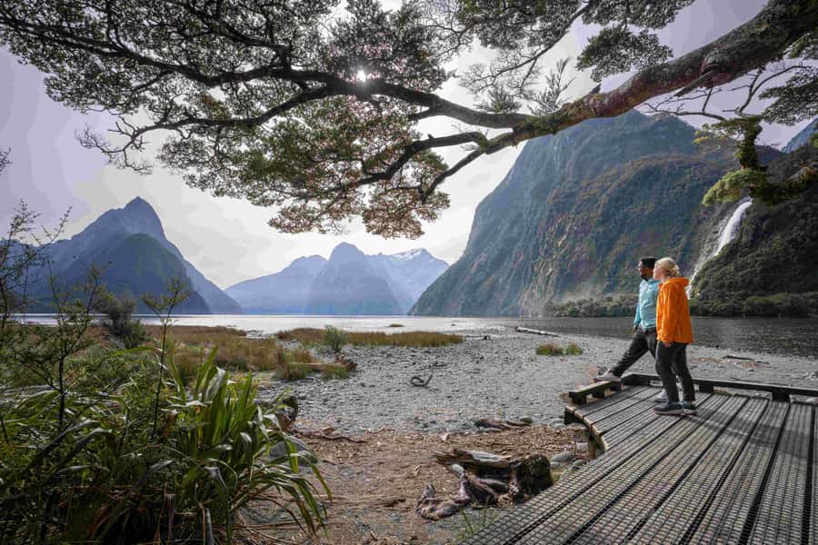 From Te Anau: Milford Sound Coach, Cruise, and Walks - Should you book the Trips and Tramps Milford Sound tour?
