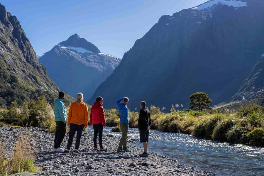 From Te Anau: Milford Sound Coach, Cruise, and Walks - Why leaving from Te Anau makes sense