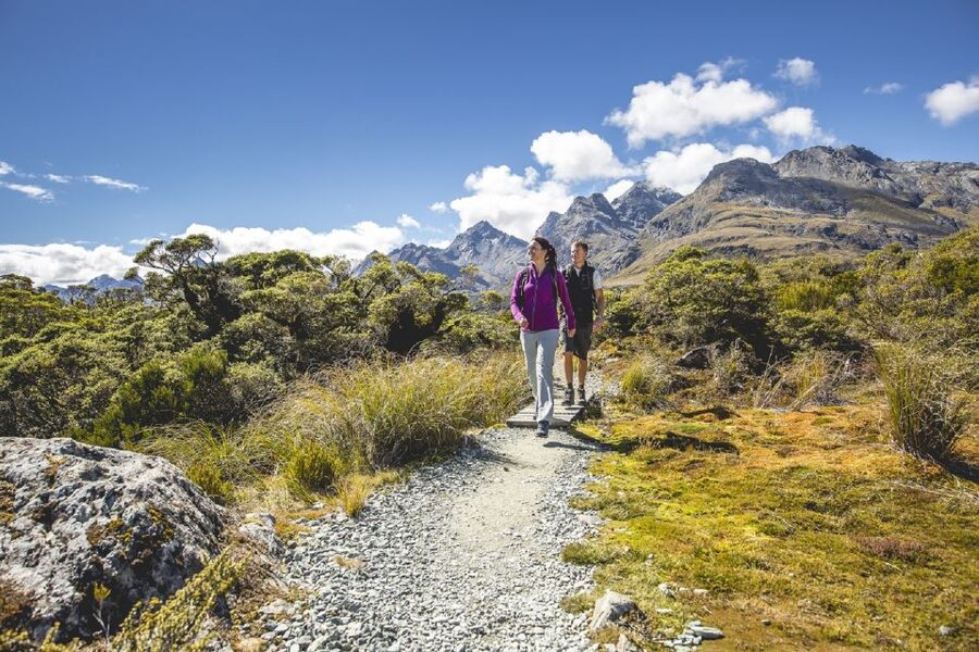 From Te Anau: Milford Sound Coach, Cruise, and Walks - The guide can make or break the road hours