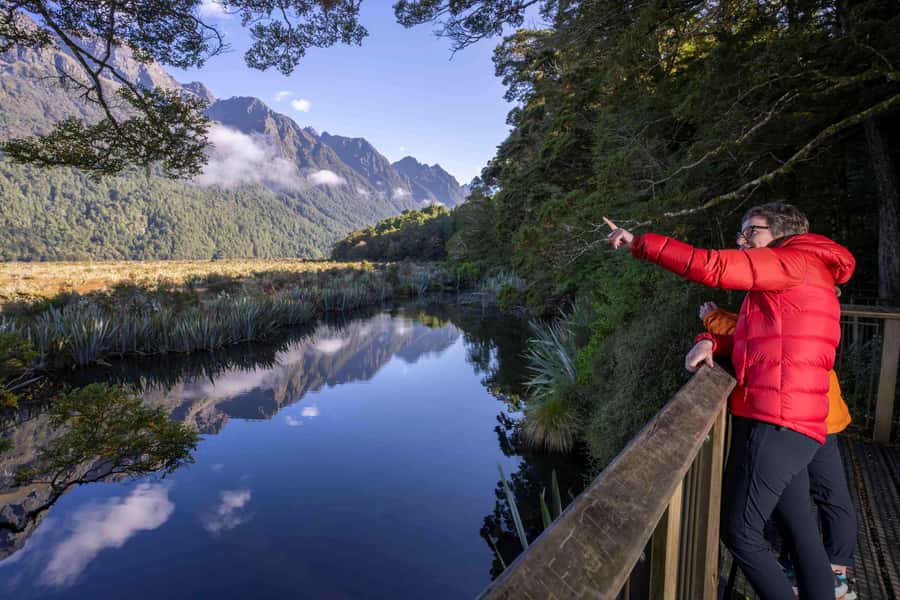 From Te Anau: Milford Sound Coach, Cruise, and Walks - How much value do you get for $164?