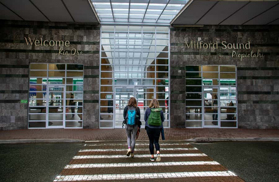 From Te Anau: Milford Sound Coach Tour and Cruise - Should you book it?