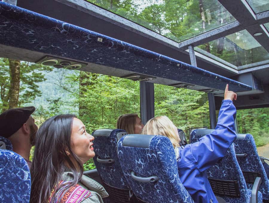 From Te Anau: Milford Sound Coach Tour and Cruise - The final approach is a highlight