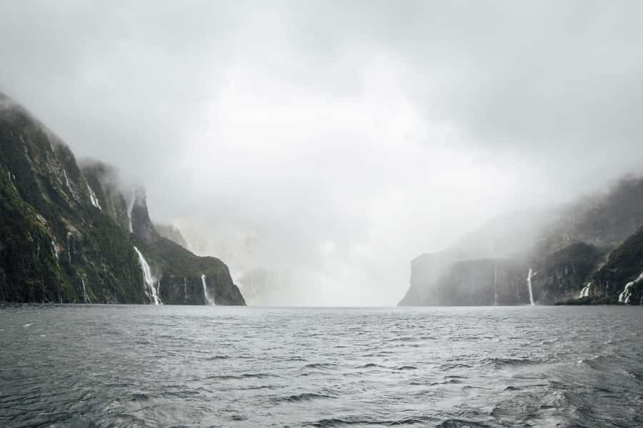 From Te Anau: Milford Sound Coach Tour and Cruise - What to expect on the Milford Sound cruise