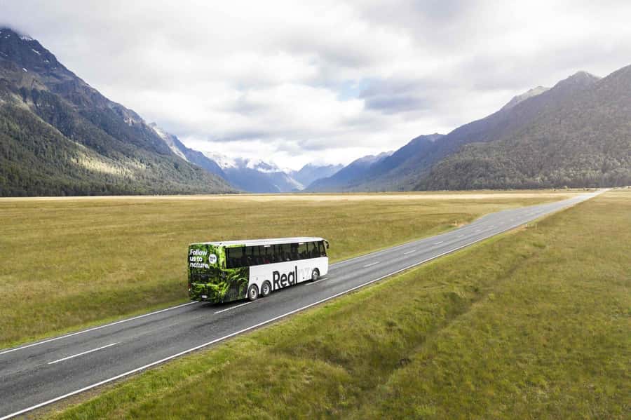From Te Anau: Milford Sound Cruise and Coach Day Trip - Key details before you book