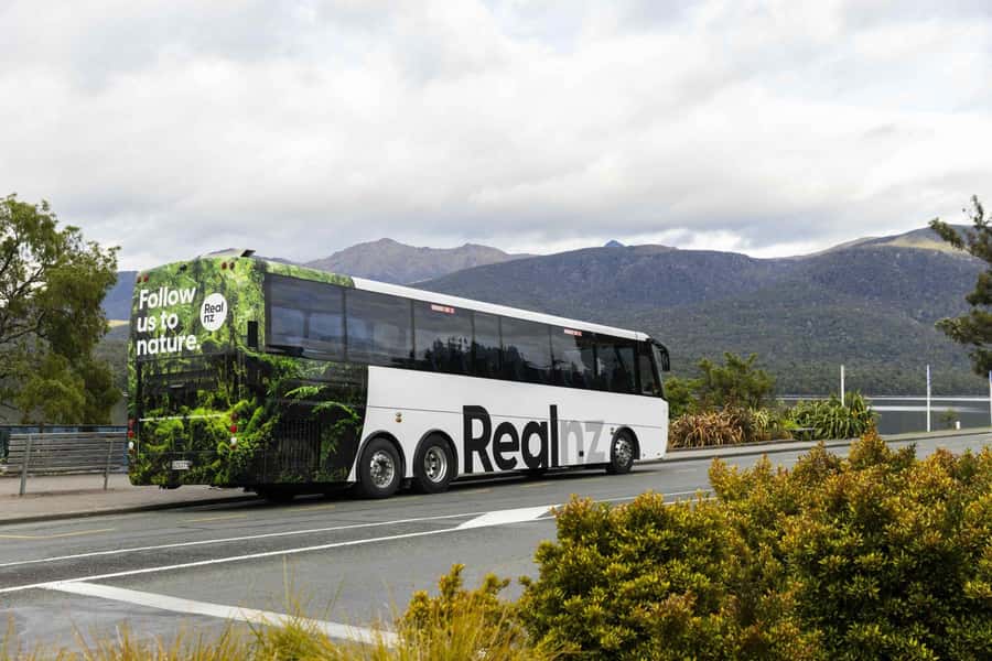 From Te Anau: Milford Sound Cruise and Coach Day Trip - Mirror Lakes offers a quick, calm pause