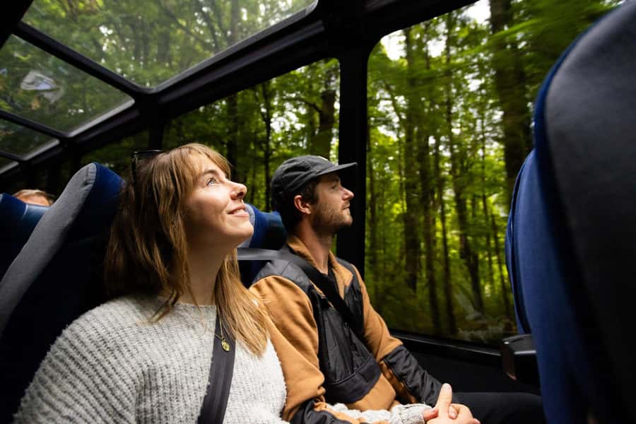 From Te Anau: Milford Sound Cruise and Coach Day Trip - The final Milford Road section is the payoff