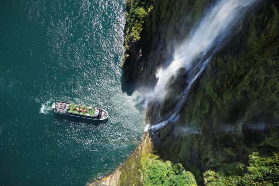 From Te Anau: Milford Sound Cruise and Coach Day Trip - Food, seating, and what to pack