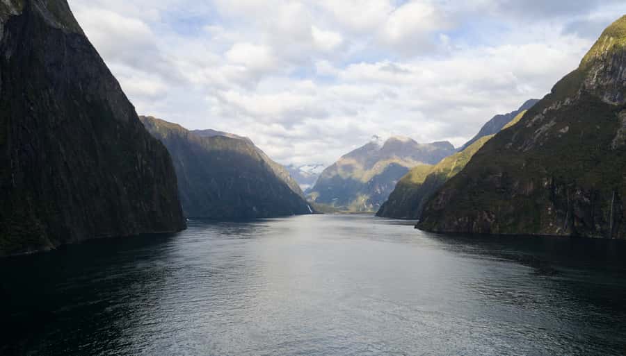 From Te Anau: Milford Sound Cruise & Glass-Roof Coach Tour - The 1 hour 45 minute cruise is the main event