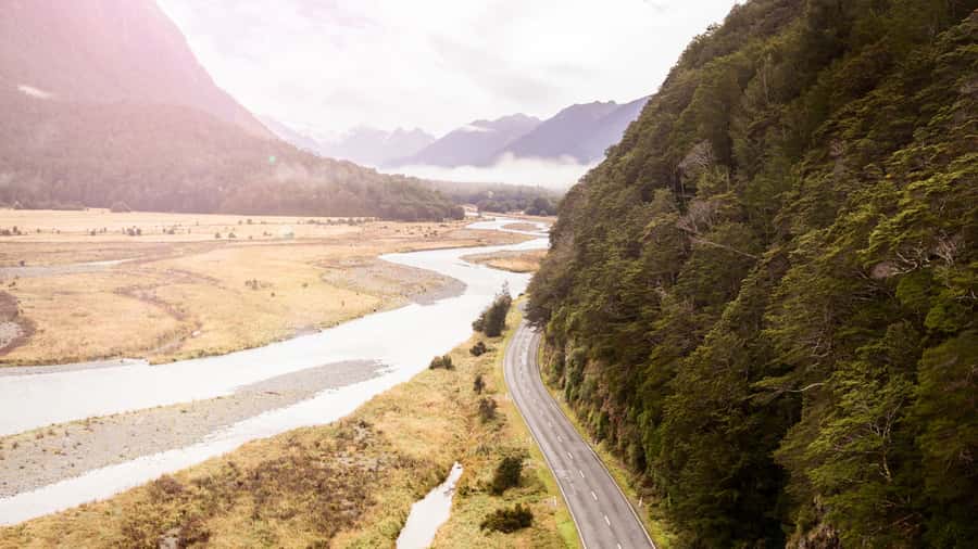 From Te Anau: Milford Sound Cruise & Track Walk by Coach - Who should book this day trip?