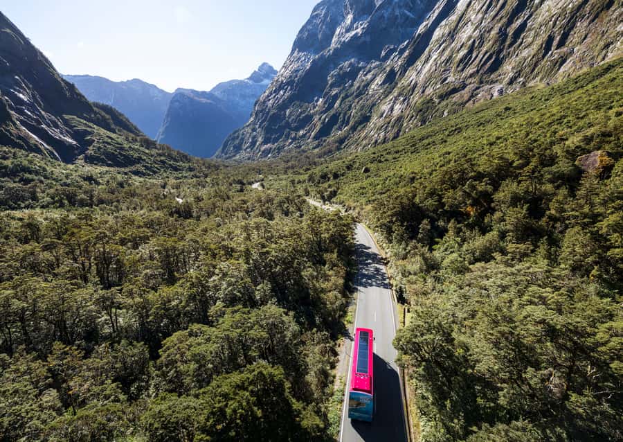 From Te Anau: Milford Sound Premium Bus Tour and Cruise - Knobs Flat and Monkey Creek