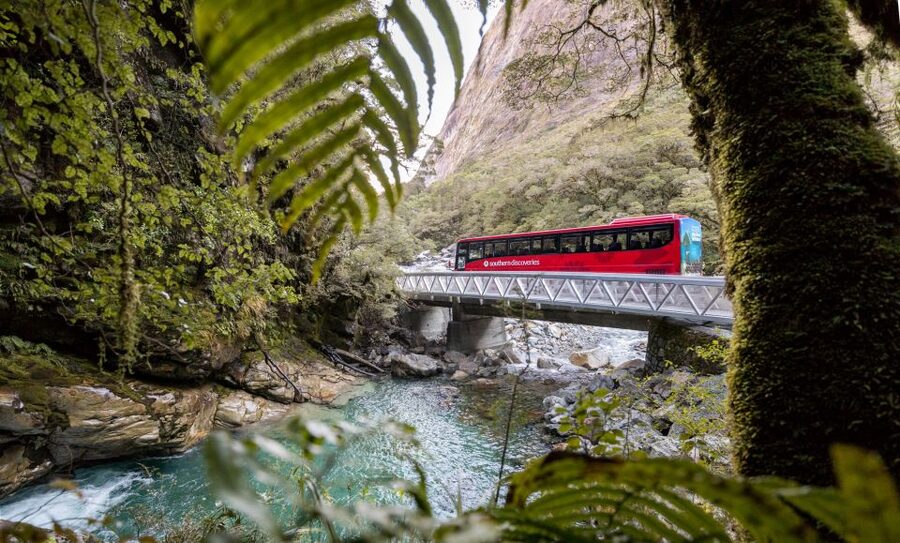 From Te Anau: Milford Sound Premium Bus Tour and Cruise - Reaching Milford Sound and boarding the catamaran